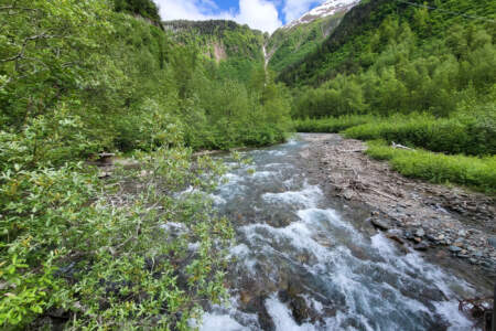 Salmon Viewing at Quartz Creek