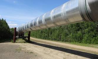 Alaska DSC01772 trans alaska pipeline