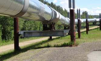 Alaska DSC01783 trans alaska pipeline