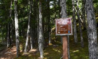 RGA MOUNT RILEY TRAIL alaska rga