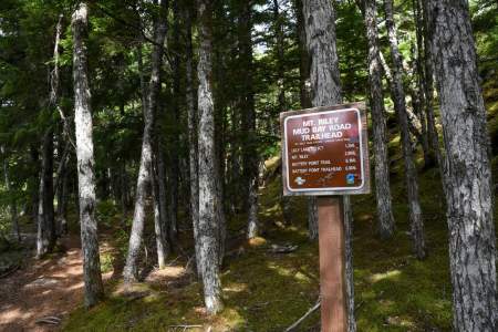 Mount Riley Trail