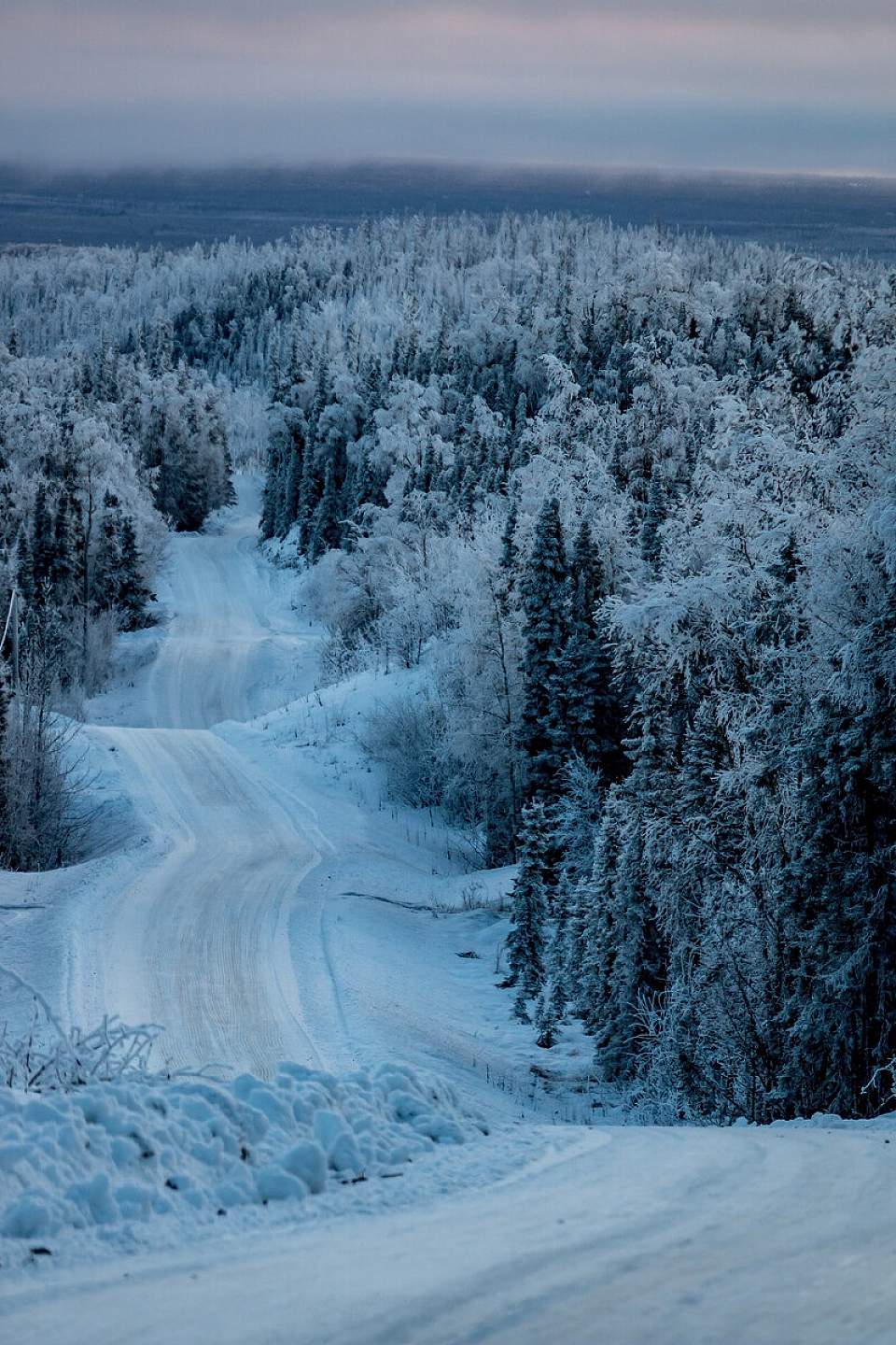 Snowy backroads in Homer. Photo by Ginger Frizzell