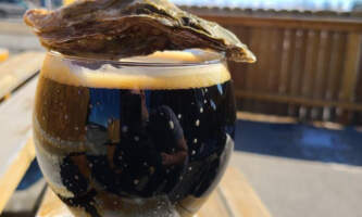 Oyster Catcher Stout with Oyster