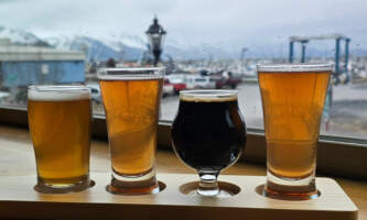 Beer Flight Steve Zernia