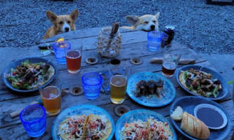 Dining Dogs Steve Zernia