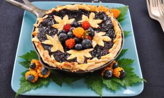 Blueberry Pies alaska untitled
