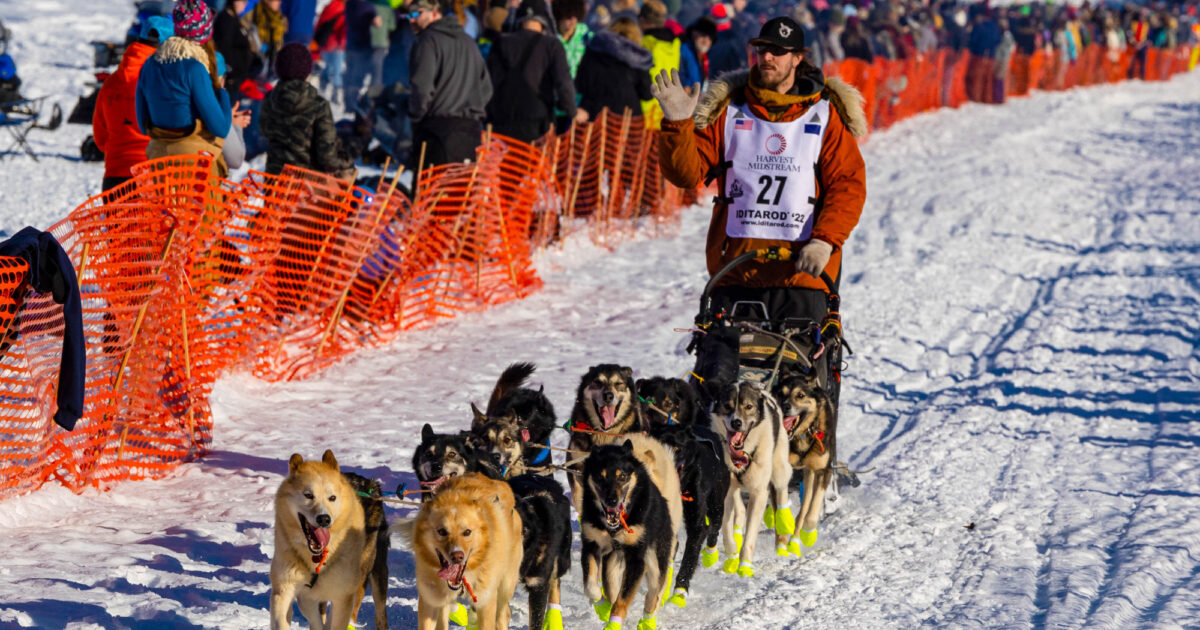 The Iditarod: Experience Alaska's Biggest Winter Event