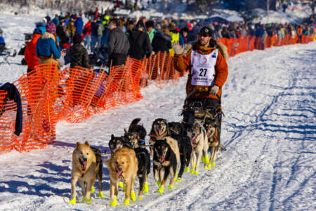 The Iditarod: How to Experience Alaska's Biggest Winter Event