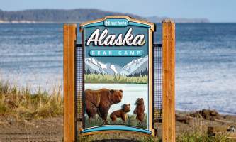 Alaska bear camp nat hab 9