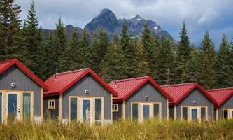 Alaska bear camp nat hab 11