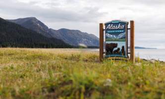 Alaska bear camp nat hab 14