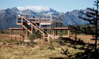 Alaska bear camp nat hab 19