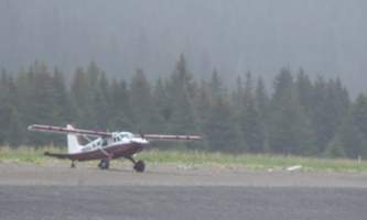 Alaska bear camp nat hab 30