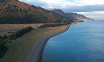 Alaska bear camp nat hab 40