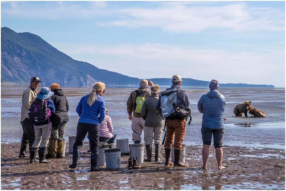Bear Camp offers a front-row VIP experience to viewing bears in the wild, directly from the camp that holds just 14 people.