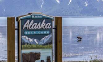 Large RGB Natural Habitat Adventures US Alaska Bear Camp 0753 Nick Grossman