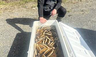 Alaska kenai adventures lodge new 32
