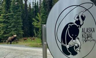 Alaska kenai adventures lodge new 38