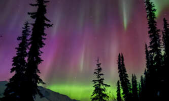 A6 BB3 AAD 8933 4778 BD6 D 1 C73 EFF082 E3 Busby set 2 of Arctic Hive Arctic Hivealaska org