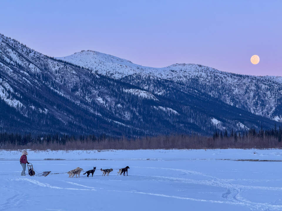 Go dog sledding in nearby Gates of the Arctic National Park