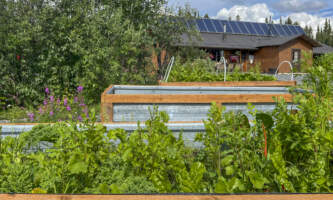 Avens Alaska Gardens With Lodge