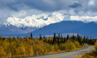 Avens Alaska Nabesna Rd by River and Mtns in background 2