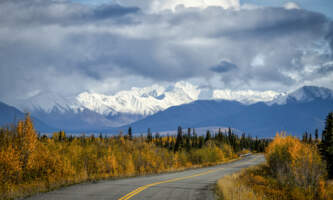 Avens Alaska Nabesna Rd by River and Mtns in background