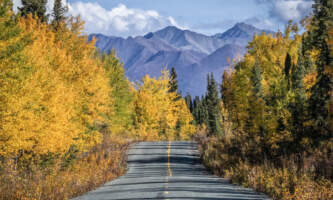 Avens Alaska Nabesna Road png 2900 x 1800 px