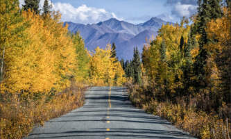 Avens Alaska Nabesna Road2