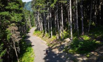 Bobs Girdwood Retreat DJI 0206 var 1 shot Jul 17 2016 11 21 exported May 16 2022 JPEG Quality 80