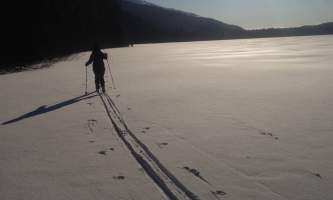 Alaska IMG 2615 2016