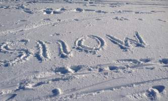 Alaska IMG 2618 2016