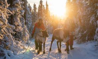 Borealis Basecamp Fairbanks 3