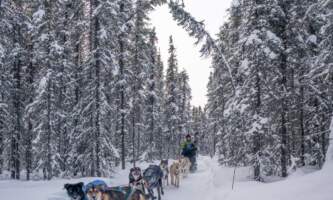 Borealis Basecamp Fairbanks 18