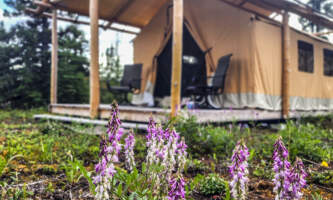 Camp Mc Carthy camp mccarthy canvas tent Denise Jantz