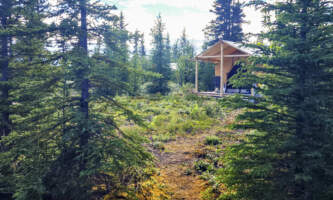 Camp Mc Carthy camp mccarthy canvas tent in spuce trees Denise Jantz