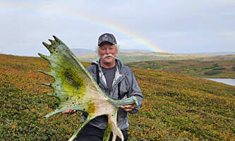 Cariou lodge talkeetna 5