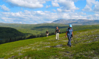 Cariou lodge talkeetna 9