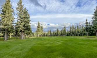 Denali Dome Home IMG 5692 Ann Langenberg Miller