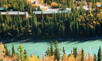Denali grizzly bear resort 3