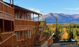 Denali grizzly bear resort 4