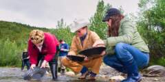 Salmon Viewing at Moose Creek