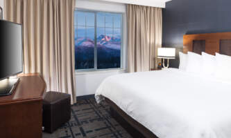 Embassy suites anchorage