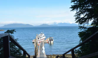 DSC 3981 Gull Cove Photos Alice Johnsonalaska org gull cove lodge