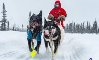 Iniakuk Lodge 00100 John Gaedekeaurora dogsled expeditionsalaska org