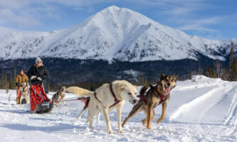 Iniakuk Lodge 00102 John Gaedekeaurora dogsled expeditionsalaska org