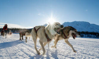 Iniakuk Lodge 00106 John Gaedekeaurora dogsled expeditionsalaska org
