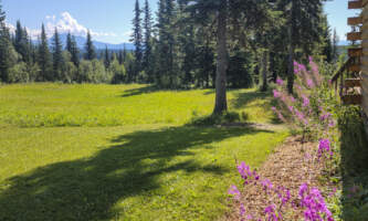 Mc Carthy Cabins Bluff Cabin Side Yard Mountain Views