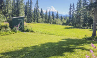 Mc Carthy Cabins Bluff Cabin Yard and Meadow
