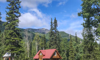 Mc Carthy Cabins Meadow Cabin Distant View